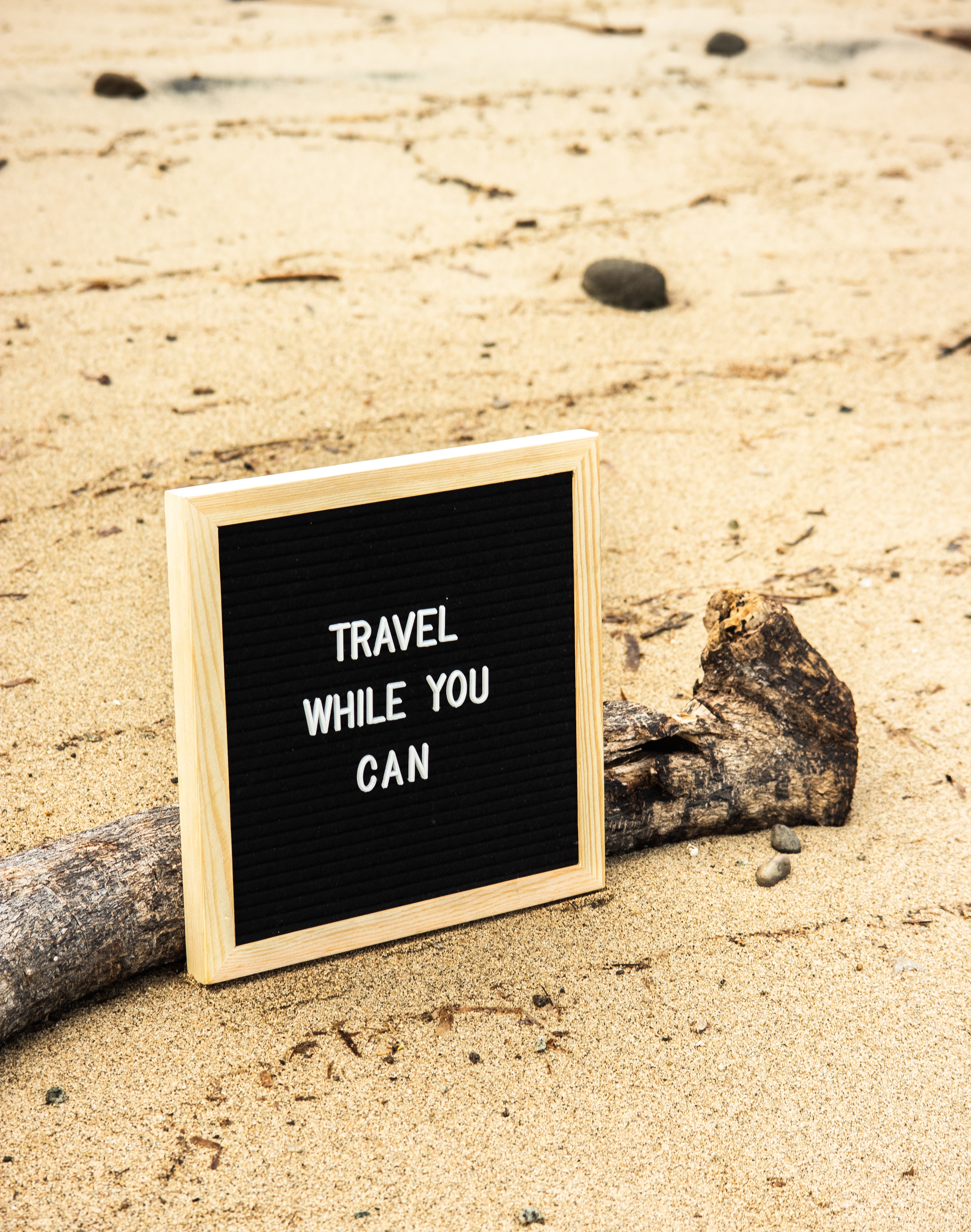 A sign reading "travel while you can" propped against a log on a sandy beach