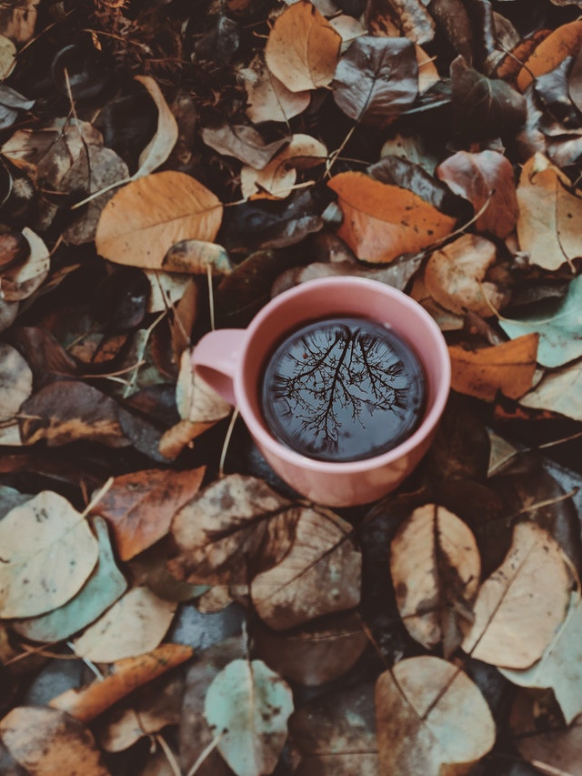 Mug nestled in leaves reflecting sky